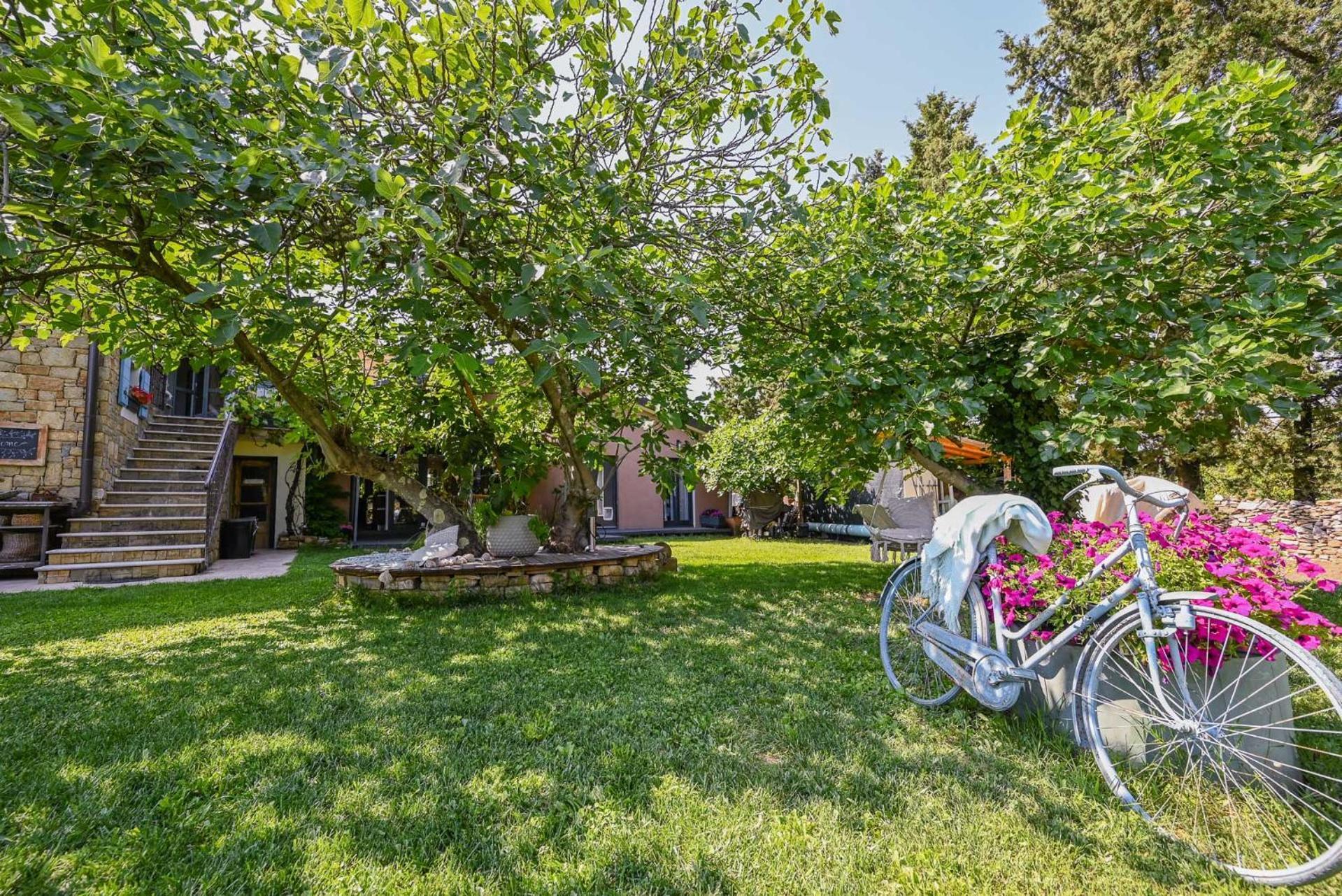 Apartma Medosi Apartmán Izola